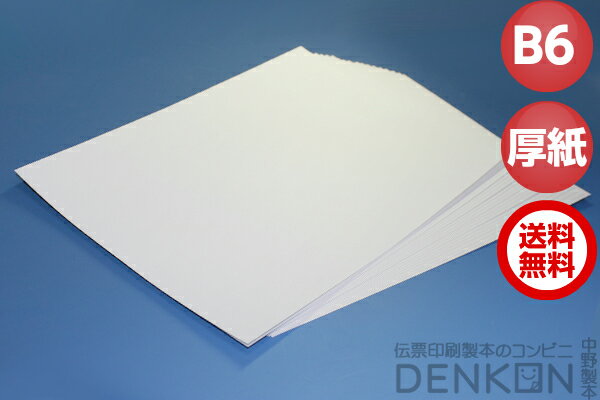 厚紙 100枚 【 B6サイズ 】 厚口画用紙 工作用紙 厚めの紙 白 ホワイト 画用紙 送料無料 工作 ペーパークラフト 普通紙 OA用紙 共用紙 印刷用紙 ...