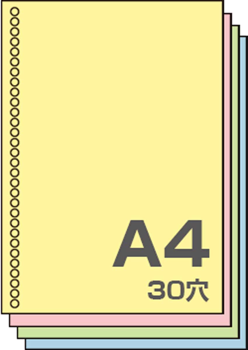 ルーズリーフ カラー a4 500枚 30穴 A4