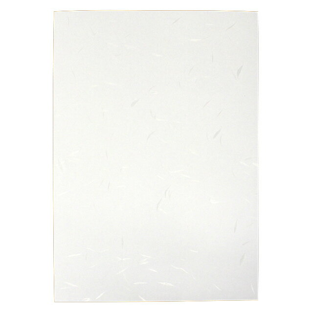 名刺 10面付 110枚 両面大礼紙 薄口 【 名入れ 印刷なし　紙の販売です 】【10面付け（ A4 サイズ ） スタンダード 110枚入り】こちらの商品は切り取りミシン加工がありません。