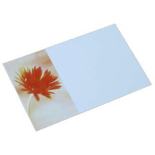 名刺 4号 50枚 フォトコレクション100 PM-73 ガーベラA 【 名入れ 印刷なし　紙の販売です 】【4号 写真入り 花・カーデニング】