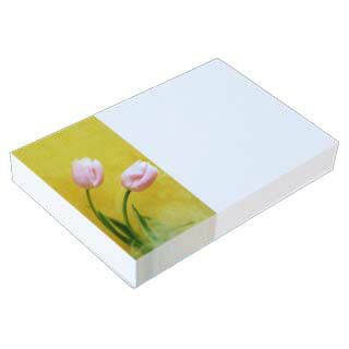 名刺 4号 50枚 フォトコレクション100 PM-76 チューリップB 【 名入れ 印刷なし　紙の販売です 】【4号 写真入り 花・カーデニング】