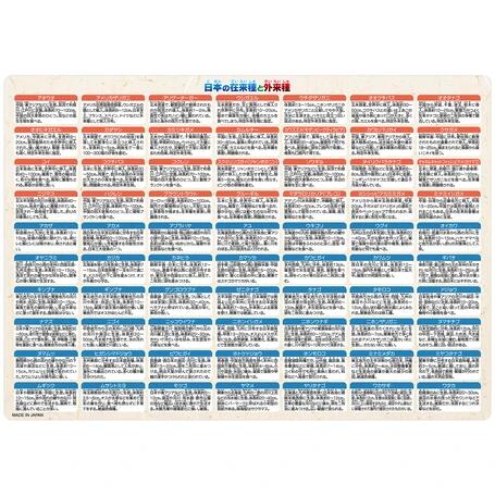 ��1000�ߥݥå���!!�����ܤκ����ȳ���ﲼ�ߤ� ���ߤ� ( ��H210��W297mm ) A4������ �� �� �������ʪ ���饹�� ������ �Ҷ� �� ���å� ������ �������ץ쥼��� �㤤��� �ݥ���Ⱦò� ��Ϸ���� 2023 �᡼��������̵��