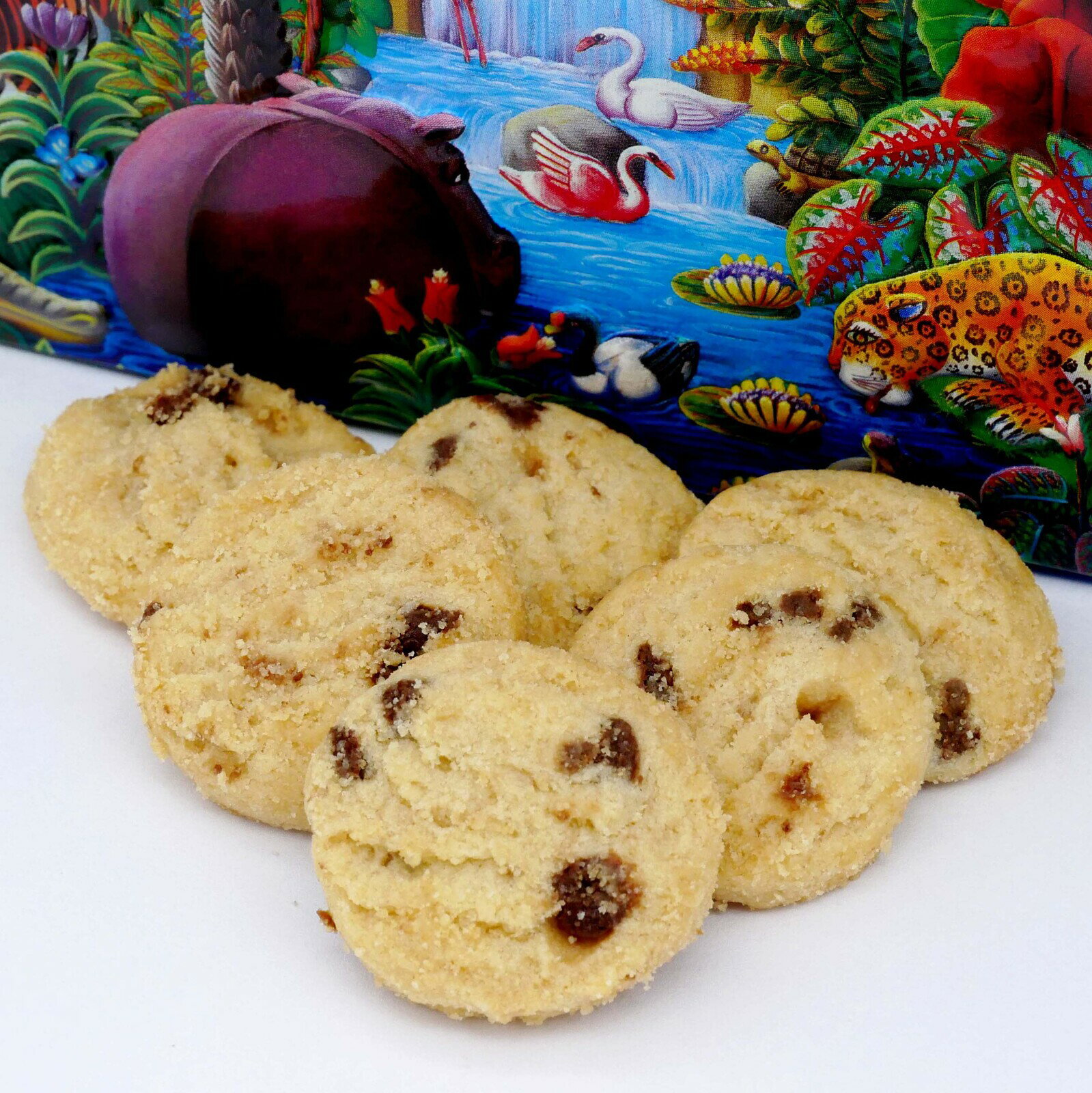 チャーチル ネイチャーフレンド缶（ミニチョコチップクッキー）