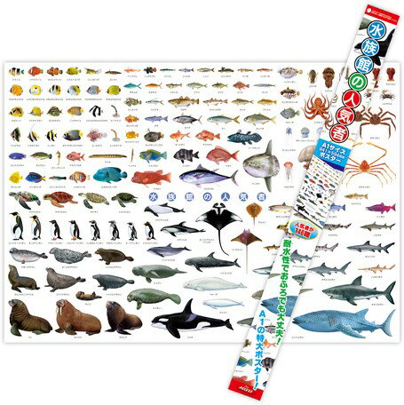 迫力の特大ポスター 水族館の人気者 ポスター ( H594×W841mm ) A1サイズ 水族館 魚...