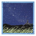 猫 風呂敷 【たまのお散歩】小風呂敷「天の川」Milky way(7月・七月・ねこ・猫・ネコ) 50cm 紺 ふろしき 贈答 プレゼント 包み ランチクロス 和柄 ウサギ 月 ラッピング グッズ 敬老の日 2023 ギフト メール便送料無料