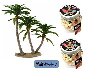 【当店でしか買えません】大人気 collecta （コレクタ）ツリー ココヤシの木 89663 フィギュア ＆ 恐竜ボーロ 50g 2個 (2種 3個セット）たまごボーロ（卵ボーロ）子供 男 グッズ 誕生日 誕生日プレゼント 母の日 2022