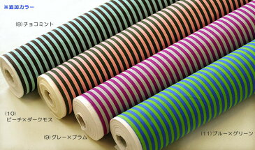 モロッカンカラーストライプ 116537 6mm巾 やや薄手 シーチング 生地巾110cm 生地 布 YUWA