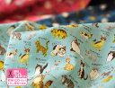 【ダブルガーゼ】にゃん辞典(Trefle・トレフル)110cm巾愛嬌たっぷりの小さめモチーフ!【生地・布】【KOKKA】【猫柄】【2016.7.21新入荷】