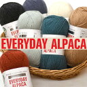 【マラソン中はポイント3倍】手触り最高!EVERYDAY ALPACA エブリデイアルパカ【毛糸】合太 100g玉巻(約300m) アルパカ混紡糸【宅配便】N-...