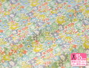 LIBERTY・リバティプリントMichelle(ミシェル)3636017 BE2017新定番エターナルコレクション【タナローン・送料無料】【国内定番】