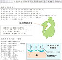 【高島ちぢみ】カラー無地 N7858/N97004表面にシボ状のしわを作った生地 縦縞【生地・布】お買い物かごの数は「3」から