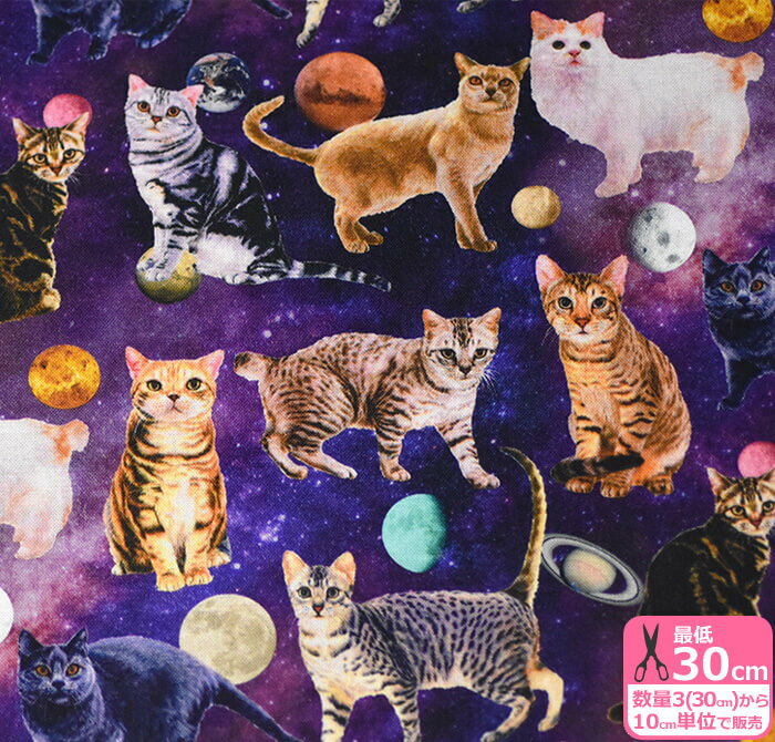 宇宙猫 DAYDREAM CAT（シーチング）宇宙空間 スペース ねこ柄110cm巾【生地・布】ST1129★数量1は10cm/数量3(30cm)から10cm単位のサムネイル