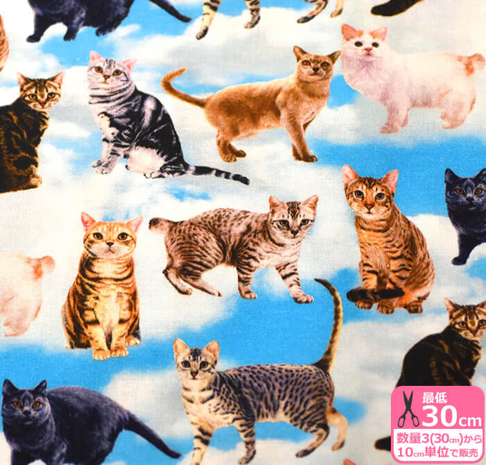 【20%OFF】空猫 DAYDREAM CAT（シーチング）青空 雲 ねこ柄110cm巾【生地・布】ST1130★数量1は10cm/数量3(30cm)から10cm単位 228204