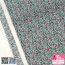 Pepper/ペッパー（3639010N J24A J24B）Liberty Fabrics  数量3(30cm)から10cm単位 1344