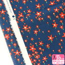 【マラソン中はポイント3倍】【リバティ・ファブリックス】Bright Night/ブライト・ナイト(DC33536-TDD J23A)花柄 パール顔料プリント【タナローン・生地・布】 数量3(30cm)から10cm単位 3984(3)