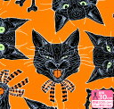 nEBvg Scaredy CatsiV[`OjLtFCXynEzzPWRH0293(30cm)10cmP