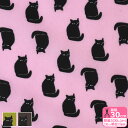 【ワンダフルデーはポイント10倍】【Petit Noir】不思議な黒猫(ナイロンオックス)猫 猫柄  ...