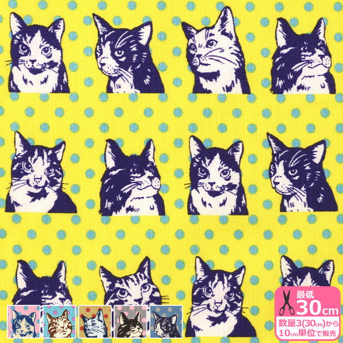 【マラソン中はポイント3倍】【POPWORLD】キャット＆ドット（シーチング）ドット柄 アメリカンショートヘア メインクーン ネコ ネコ柄 猫柄 シーチング生地 コスモテキスタイル【生地・布】NN2316H 数量3(30cm)から10cm単位 228204