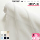 【マラソン中はポイント3倍】接着芯 R0095RH ダンレーヌ芯地 極薄 布タイプ アイロン接着 ストレッチ芯地 ストレッチ性 ニット生地 透明 ソフト芯地 片面接着 ハンドメイド リバティ タナローン 古布 シルク 日東紡 Nittobo 白 黒 カラー 数量3(30cm)から10cm単位