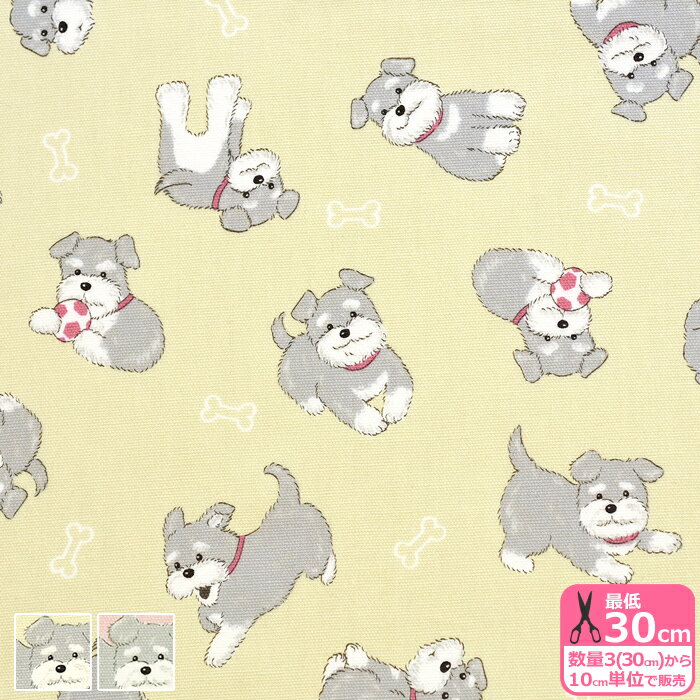 ۥӡȥƥĤ㤨֥ܡȥ󥳡ʥå ߥ˥奢ʥ ߥ˥ ߥ顼    ưʪϡۡAP61908H-1 3(30cm10cmñ̡פβǤʤ110ߤˤʤޤ