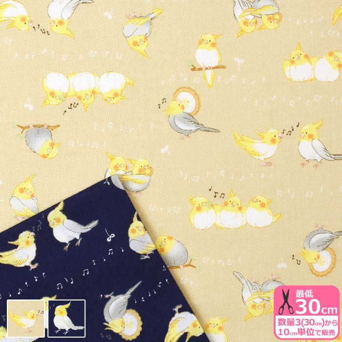 ۥӡȥƥĤ㤨֡ڤߤˤդդ󤺡ۥᥤ󥳡ʥ󥰡Ļ Ļ Ļ Ļ    ץ  ƥϡۡAP55202H-2 3(30cm10cmñ̡פβǤʤ97ߤˤʤޤ