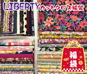 【2020ハッピー福袋】【数量限定】LIBERTYカットクロス福袋リバティタナローンカットクロス8枚＋柄物生地＋無地生地＋おまけ付き！