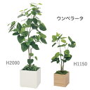 人工樹木 ウンベラータ(H2000・H1150) 人工観葉植物 ボックスプランター 樹木プランター インテリアグリーン