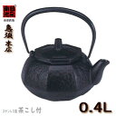 【安心サポート付】急須 末広 0.4L ステンレスの茶こし付 池永 南部鉄急須 【認証】