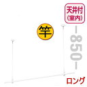 室内物干し 天井取付タイプ 物干し竿（1.5m）付 ロングタイプ 天井吊り下げ長さ850mm KS-DAS106L ナスタの物干し ハンガー掛け 物干し ポール 室内 洗濯物干し おしゃれ 室内干し 竿掛け 物干し竿 物干しざお 物干しさお 室内物干し竿 部屋干し グッズ 吊り下げ