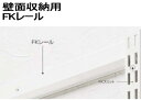 壁面ラック用 FKレールW765(横レール) 壁収納 ダボレール ウォールシェルフ シェルフ 壁付け 壁掛け 棚柱 棚受け DIY ハンガーラック 什器 ディスプレイ パイプ クローゼット|壁面収納 システム収納 取り付け リビング収納棚 玄関 洗面所 ランドリー ガレージ 飾り棚