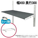 壁面収納 プラ棚スリムセット W450×D300 薄型壁面ラック|システム収納 システムラック 取り付け diy 収納棚 リビング収納 玄関収納 洗面所 ランド...