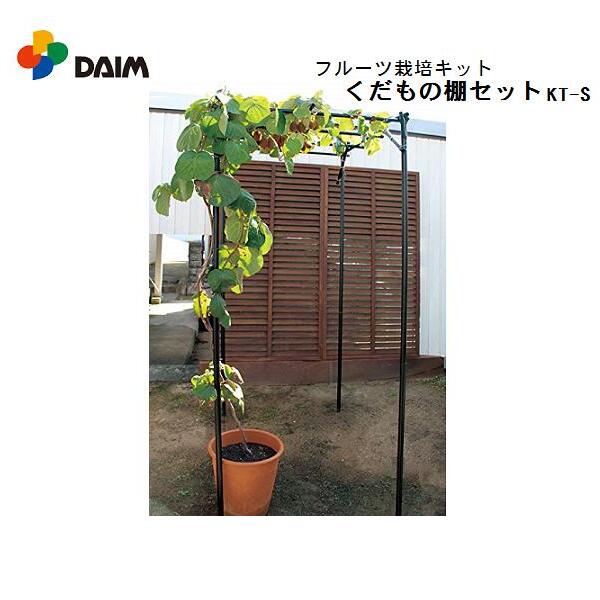 【送料無料・一部地域を除く】DAIM くだもの棚セット KT-S 120cm×90cm/フルーツ栽培キット/A