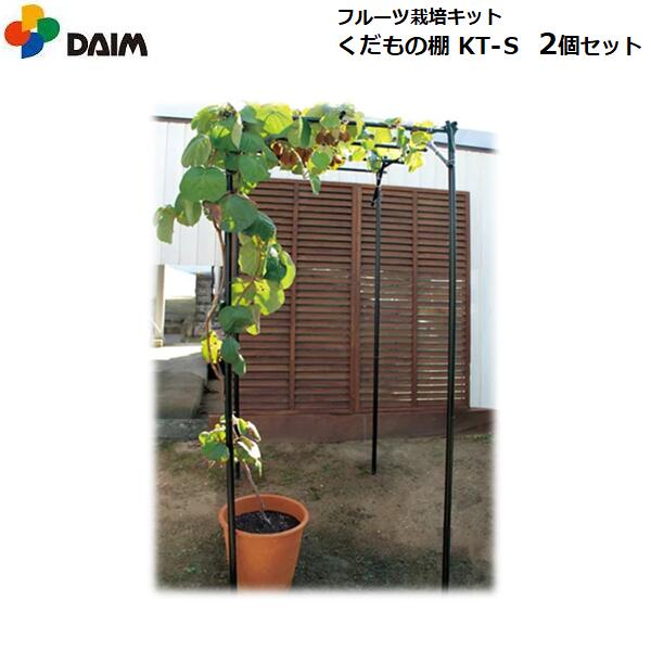 【お得な2個セット】DAIM くだもの棚セット KT-S 120cm×90cm/フルーツ栽培キット/A