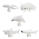 【4個までゆうパケット送料300円】 自由研究 自由工作 ハコモ hacomo kids キッズ 水族館シリーズ ダイオウイカ ダイオウグソクムシ イルカ サメ...
