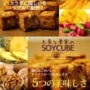 【送料無料】 『大麦と果実のソイキューブ』...