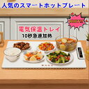 【送料無料】【SNS人気過ぎ★食品保温】食品保温プレート シリコン製 電気保温トレイ 『60℃(140°F) | 80℃(175°F) | 100℃(215°F)』 パン発酵 卓上保温プレート 温度調節可 ホットプレート 10秒急速加熱 お手入れも簡単 大容量 50Hz 60Hz 耐荷重5kg 取扱説明書付き