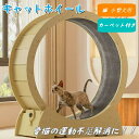 キャットホイール 猫専用ルームランナー 室内運動用 猫 8kgまで トレッドミル キャット ホイール ローラー 自走式 ルームランナー 回し車 観覧車 安全 エクササイズ トレーニング おもちゃ ランニング 小型犬 ペット用品