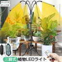 植物育成ライト LED スタンド4灯 3灯タイマー 三脚 植物育成LED usb 観葉植物育成ライト 植物ライト 多肉植物育成 トフルスペクトル 10階段調光 ...