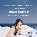 クイーンメモリーピロー 低反発まくら 柔らかめ ソフト 快眠枕 横向き 丸洗い 首こり 肩こり 頚椎サポート 首・肩・頭を優しく支えるまくら 枕カバー付き(3)