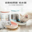 自動給餌器 犬 猫 給餌機 給水器 ペット用自動給餌器 出張 帰省 人気 おすすめ フードボウル ウォーター ペットグッズ ペット用品 自動きゅうじ器で留守も安心 自動餌やり機(4)