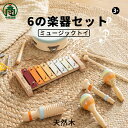 打楽器 木のおもちゃ 子供用 楽器おもちゃ 幼児用 パーカッション タンバリン おもちゃ 楽器セット 楽器6種 幼稚園 教育用 音楽玩具 男の子 & 女の子向け...