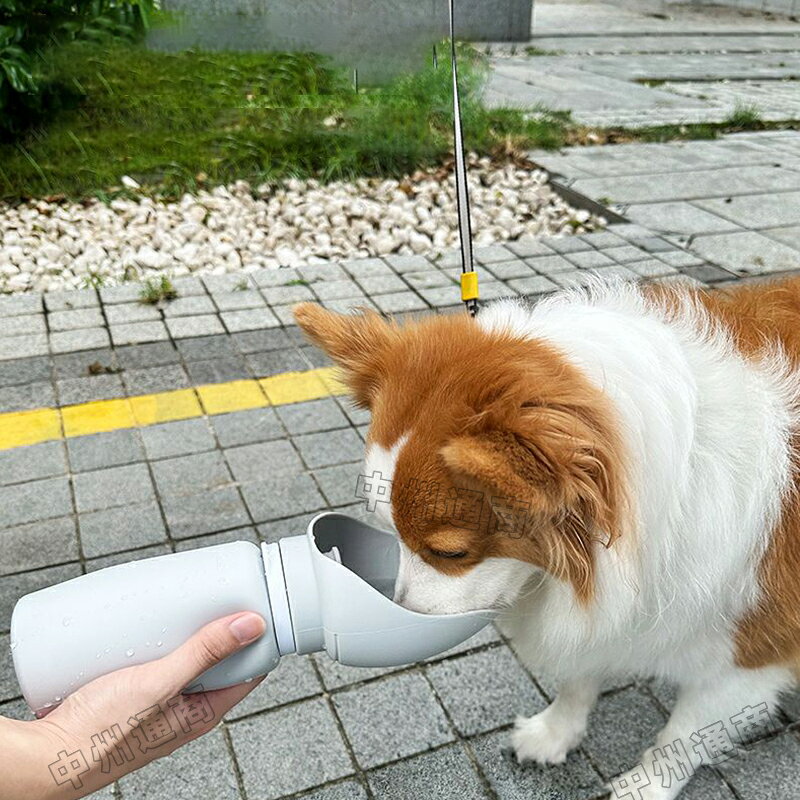 サンプル画像2