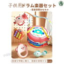 ドラム楽器 おもちゃ多機能知育玩具 子供用打楽器 太鼓 鉄琴 音楽おもちゃ こどもの日 早期開発 5つの楽器 歳誕生日プレゼント 多機能楽器 女の子 男の子 収...