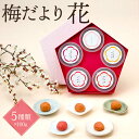 【徳重紅梅園】無農薬 紅梅一級品300g（鶯宿梅・天然塩・しそ）いのちの梅干し