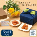 減塩梅干し 【数量限定】【送料無料】中田食品 父の日 梅干セット 梅干し 2種類 詰合せ セット 減塩 ギフト 父の日ギフト