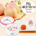 中田食品 梅damono(うめだもの) もも 12粒入 個包装 和歌山県産 紀州南高梅 塩分4% 梅 梅干 梅干し 梅ぼし 国産 紀州産 南高梅 フルーツ デザ...