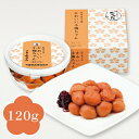 中田食品 紀州産小梅 かわいい小梅ちゃん 梅干し 120g 塩分11%