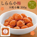 中田食品株式会社 しらら小梅 大粒小梅 300g