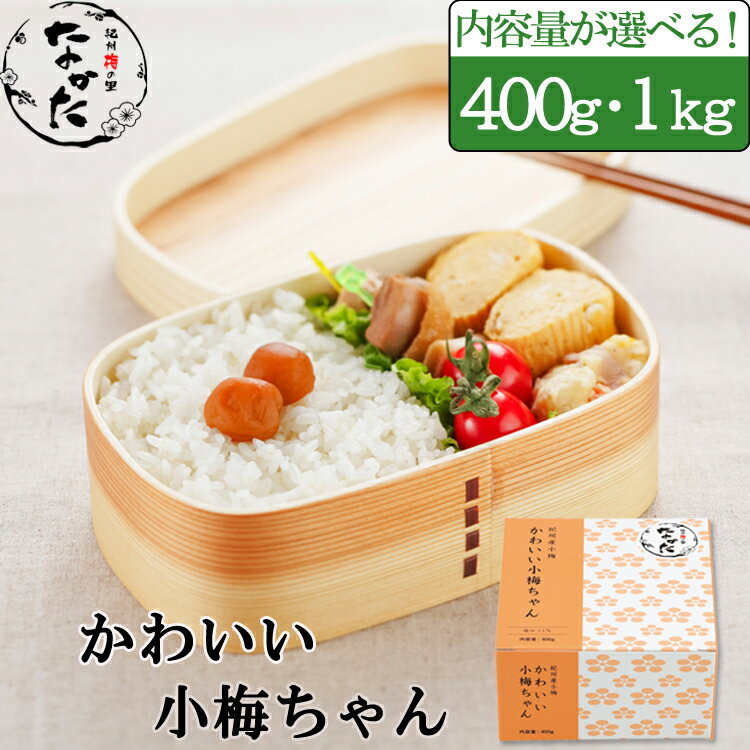 中田食品 紀州産小梅 かわいい小梅ちゃん 梅干し 400g /1kg 塩分11