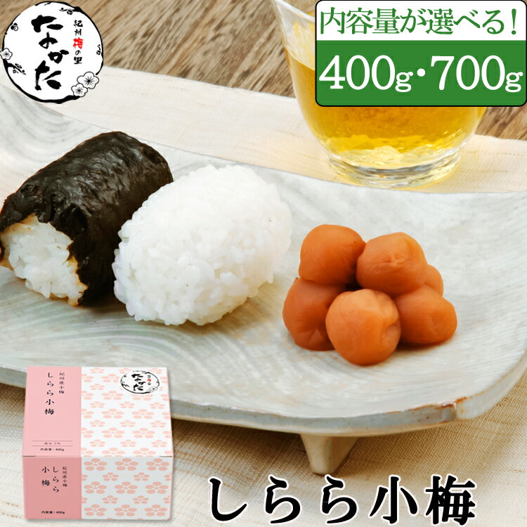 中田食品 梅干し 紀州産小梅 しらら小梅 400g / 700g 減塩 塩分5%